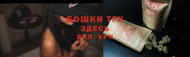 спиды Богородск
