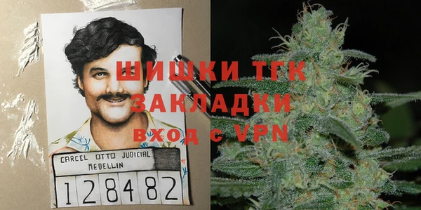 хмурый Белокуриха