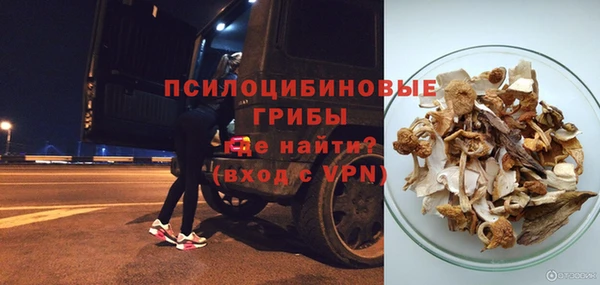 хмурый Белокуриха