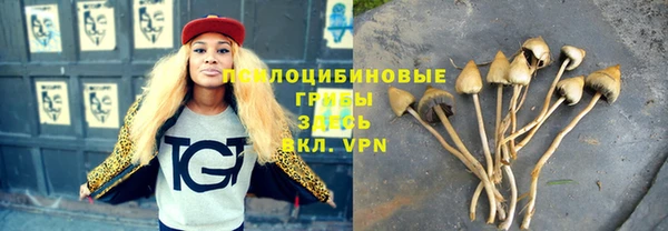 МДПВ Богородицк